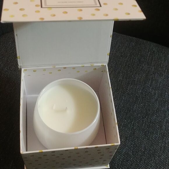 Just in! NIB Huntington Home Candle Peppermint Bark - Picture 6 of 6